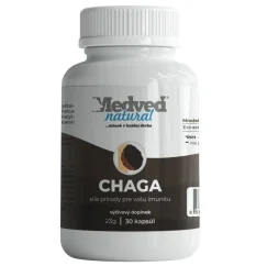 Medveď Natural Chaga – extrakt z brezovej huby na podporu imunity a vitality