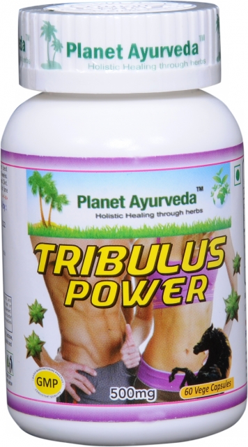 Tribulus Power Planet Ayurveda 500 mg kapsuly na podporu testosterónu, energie a vitality