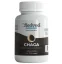 Medveď Natural Chaga – extrakt z březové houby pro podporu imunity a vitality Medveď Natural Chaga – extrakt z březové houby pro podporu imunity a vitality