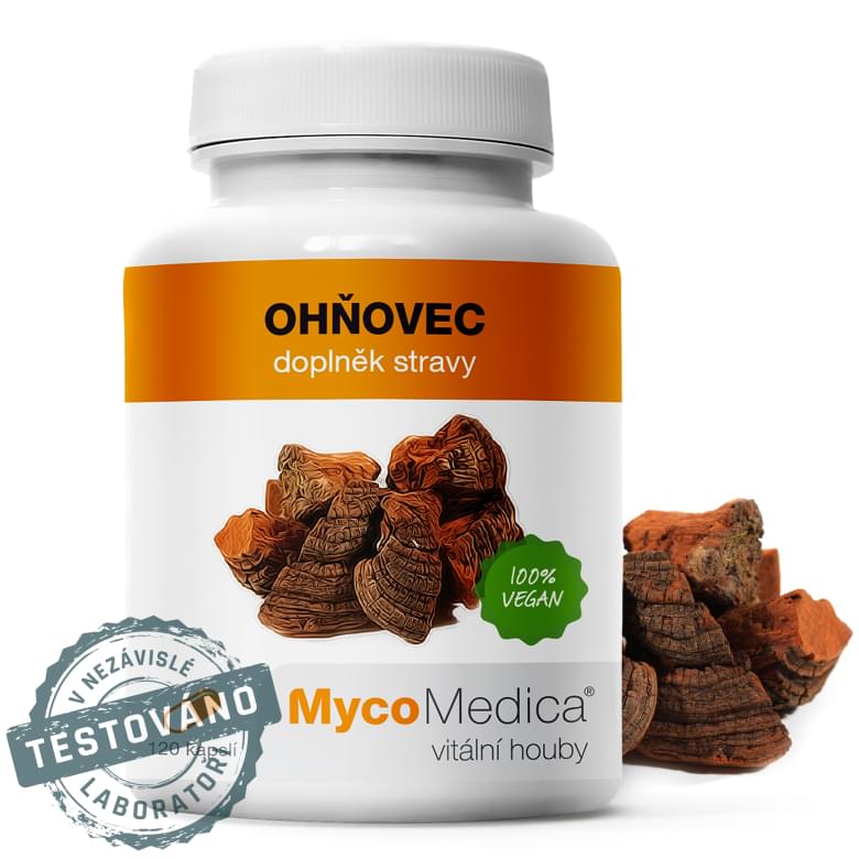 Ohňovec od MycoMedica – vitálna huba s imunomodulačným účinkom, vhodná pri zápaloch a oslabení imunity