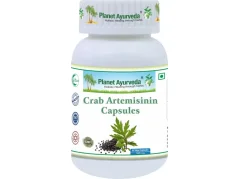 Planet Ayurveda Crab Artemisinin – kapsle s artemisininem z pelyňku ročního pro podporu imunity a detoxikace
