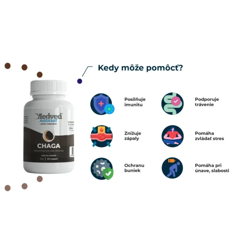 Infografika Medveď Natural Chaga – posiluje imunitu, snižuje záněty, podporuje trávení, chrání buňky a pomáhá při únavě