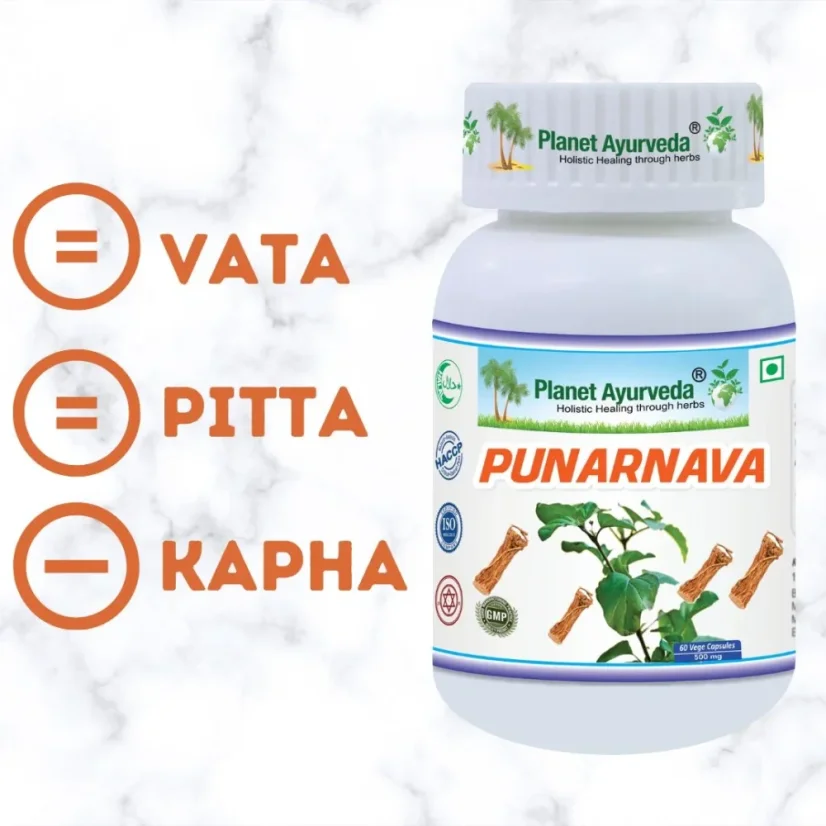 Planet Ayurveda Punarnava s ajurvédskym znázornením dóš Vata, Pitta a Kapha
