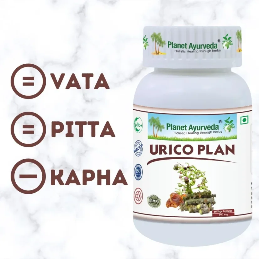 Planet Ayurveda Urico Plan s ajurvédskym znázornením dóš Vata, Pitta a Kapha