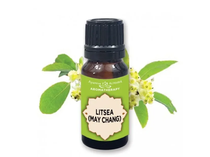 Altevita Litsea (May Chang) – svieži citrusový esenciálny olej s povzbudzujúcim účinkom pre aromaterapiu Altevita Litsea (May Chang) – svieži citrusový esenciálny olej s povzbudzujúcim účinkom pre aromaterapiu