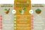 Srovnání standardizovaného bylinného extraktu Planet Ayurveda s konkurenčními extrakty a práškovými formami