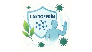 Laktoferín a imunita – prírodná podpora vašej obranyschopnosti