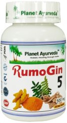 Planet Ayurveda RumoGin5 500 mg 60 kapslí
