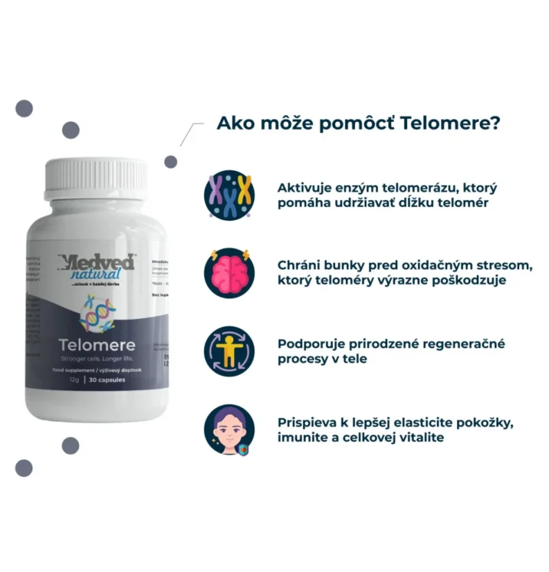 Infografika Medveď Natural Telomere – antioxidační ochrana buněk, vitalita a zdravé stárnutí organismu