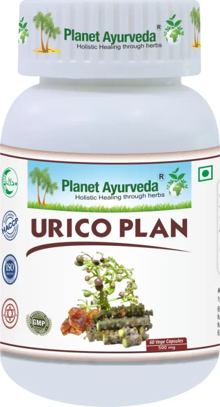 Planet Ayurveda Urico Plan 500 mg, 60 rastlinných kapsúl