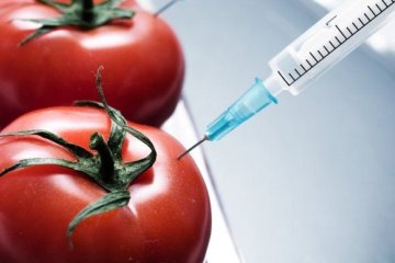 10 účinných tipů pro každodenní detoxikaci