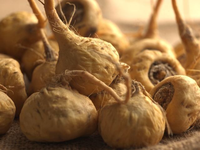 Blue Step Maca Extra BIO 500 mg 120 kapsúl