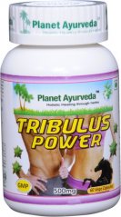 Tribulus Power Planet Ayurveda 500 mg kapsle pro podporu testosteronu, energie a vitality