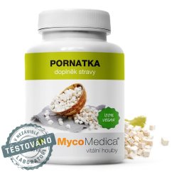 Pornatka – vitální houba od MycoMedica s obsahem polysacharidů pro podporu imunity a trávení