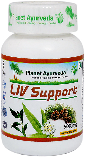 Planet Ayurveda Liv Support (Pečeň) extrakt 500 mg 60 kapsúl
