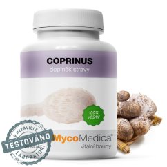 Coprinus MycoMedica – extrakt z houby Coprinus comatus na trávení, hladinu cukru a střevní rovnováhu