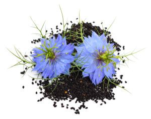 Vitamin Bottle Nigella (černuška siata) 60 kapsúl