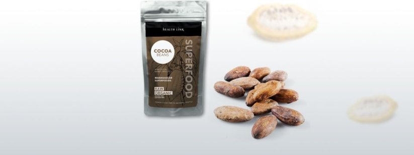 Health Link Raw BIO Nepražené kakaové bôby celé 250g