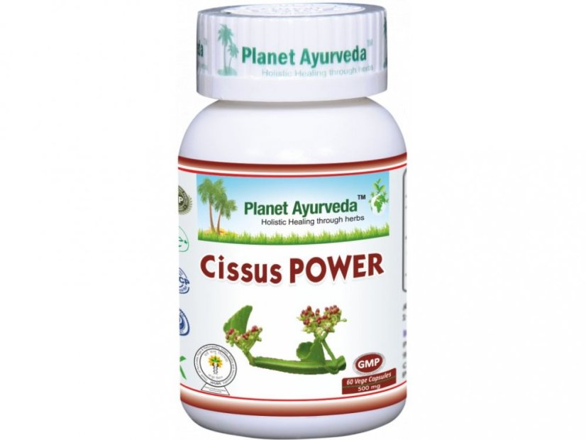 Planet Ayurveda Cissus Power 60 kapslí