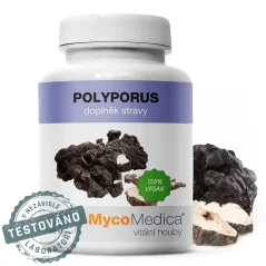 Polyporus MycoMedica 500 mg extrakt, 30 % polysacharidů, 90 veganských kapslí