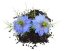 Vitamin Bottle Nigella (černuška siata) 60 kapsúl