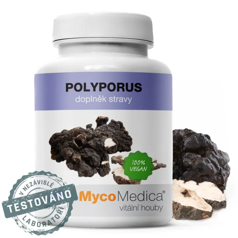 Polyporus MycoMedica 500 mg extrakt, 30 % polysacharidov, 90 vegán kapsúl Polyporus MycoMedica 500 mg extrakt, 30 % polysacharidov, 90 vegán kapsúl