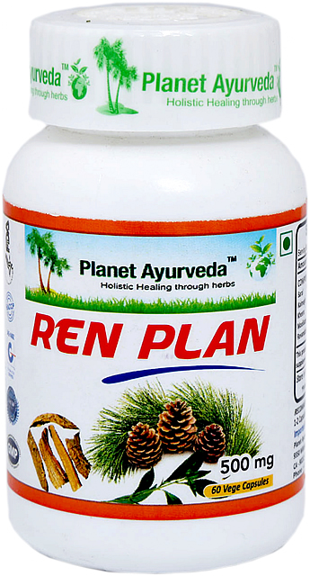 Planet Ayurveda Ren Plan (Obličky) extrakt 500 mg 60 kapsúl