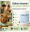 Medveď natural Probio LAFTI pri zmene režimu a každodennej starostlivosti o trávenie