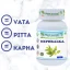 Planet Ayurveda Nephralka s ajurvédskym znázornením dóš Vata, Pitta a Kapha Planet Ayurveda Nephralka s ajurvédskym znázornením dóš Vata, Pitta a Kapha