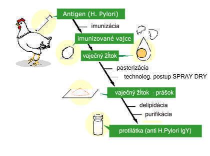 NaturMedic PYLOX - Helicobacter pylori 10 vrecúšok